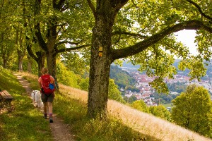 Altmühltal Panorama Trail Tour