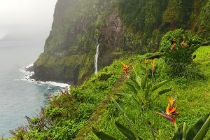 Madeira Circular Hiking Tour