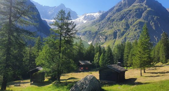 Beautiful alpine meadows in French Alps