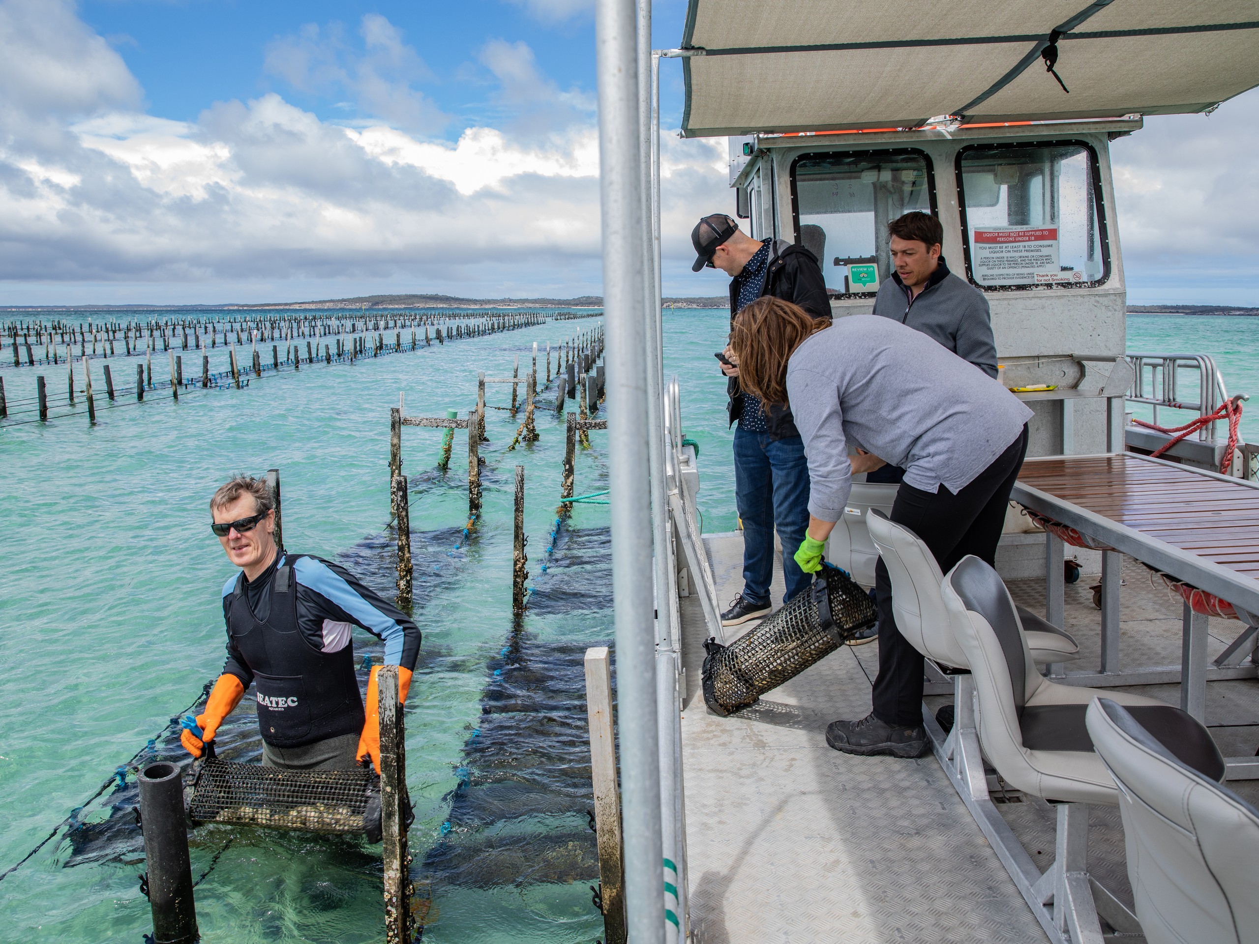 Watching how oysters are being harvested at South Australia