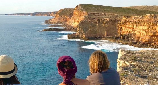 Wildlife and Ocean Encounter Tour