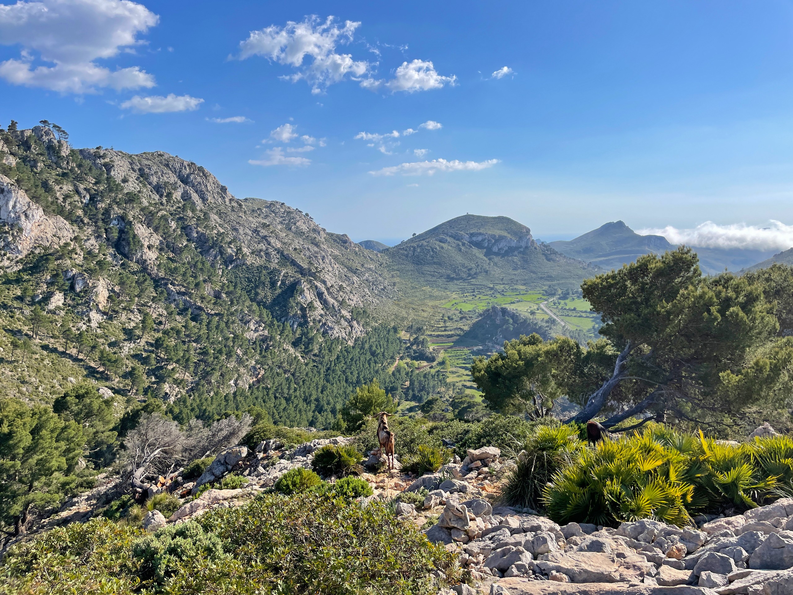 Mallorca GR 221 Trail-12