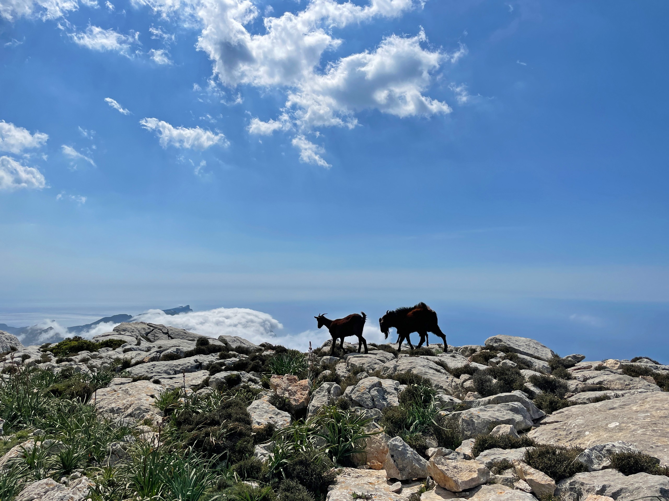 Mallorca GR 221 Trail-13