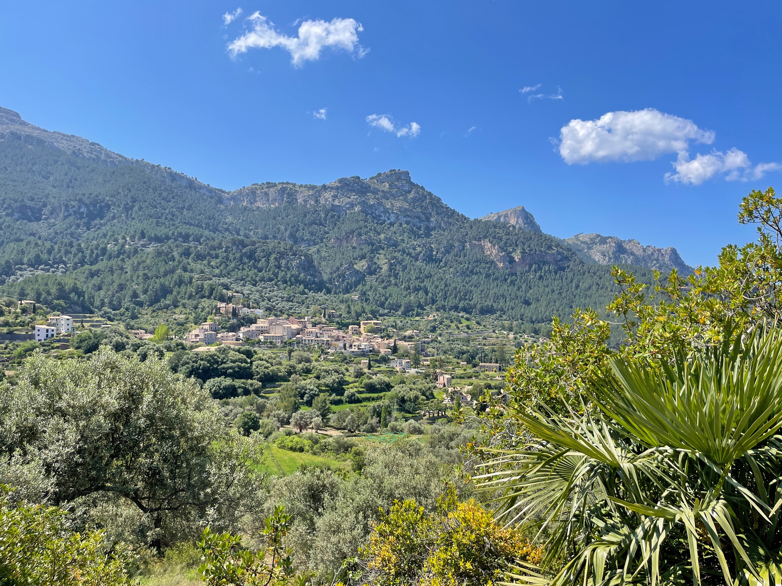 Mallorca GR 221 Trail-2