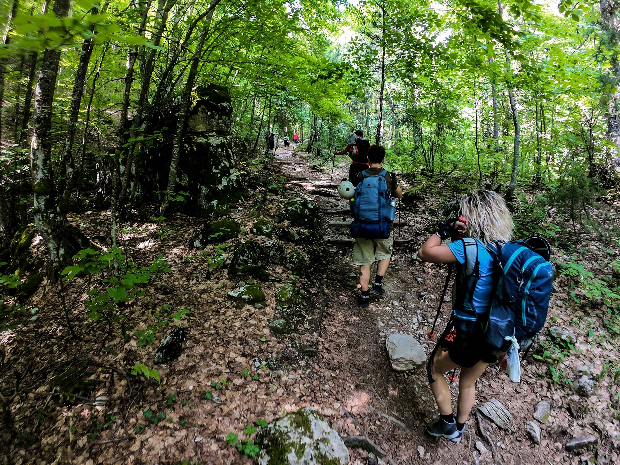 Hiking through the forest on the guided climb of Mount Olympus