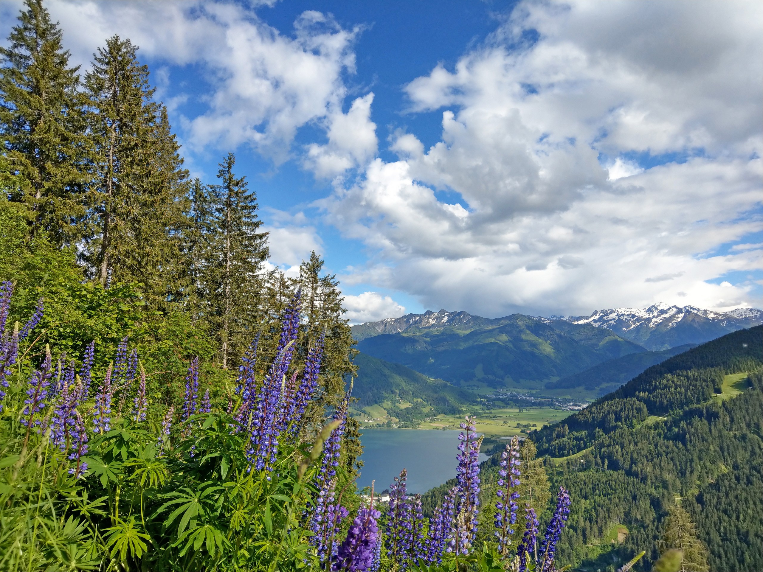 Beautiful lake in Zell am See region as seen from the above