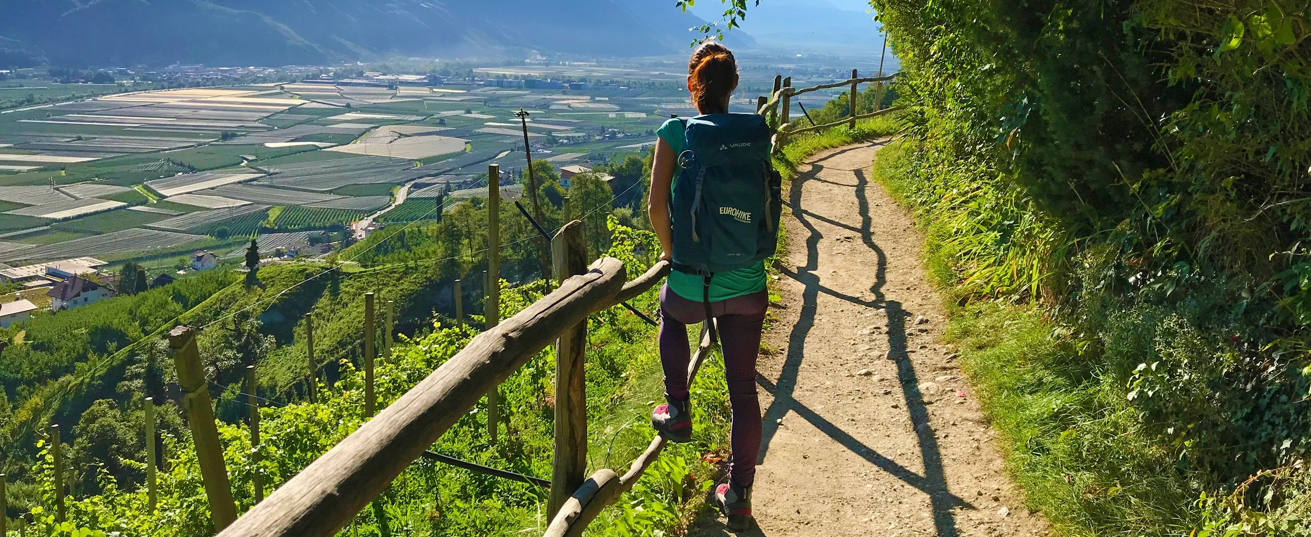 South Tyrolean Wine and Alpine Pasture Tour