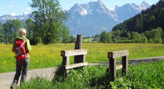 Zell am See Walking and Deluxe Hotel