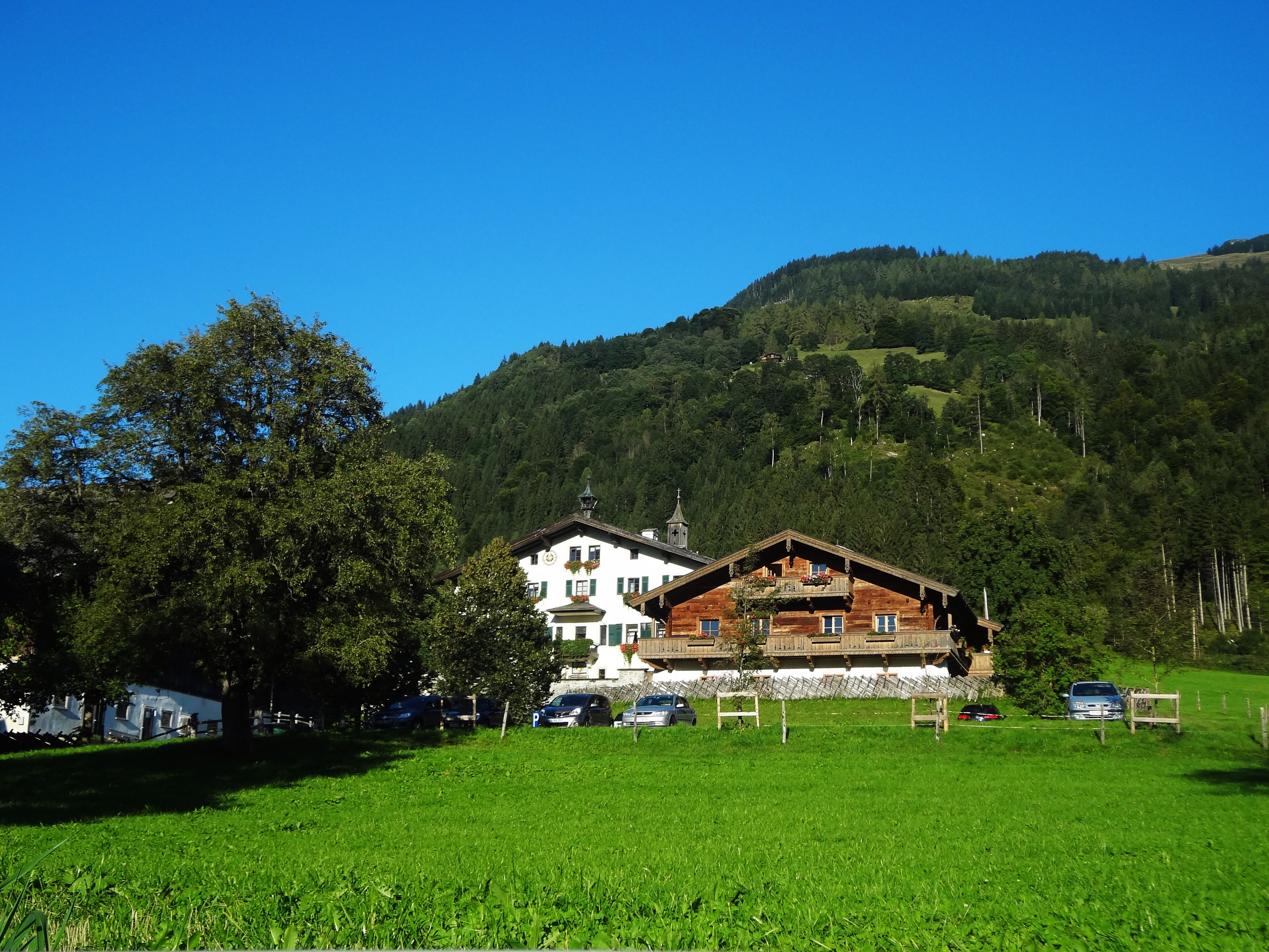 Pastures in Zell am See region in Austria