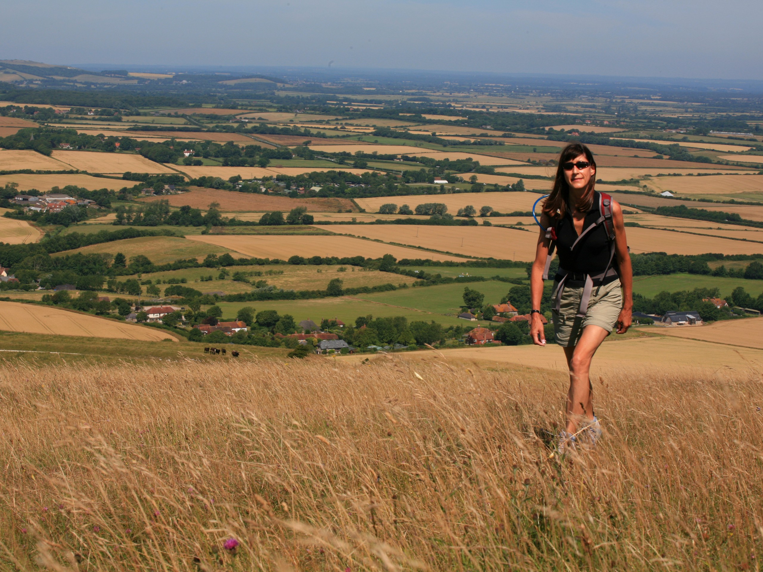 Hiker in the South Downs Way countryside