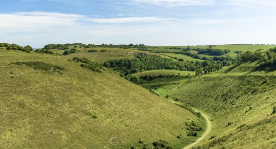 Devils Dyke near South Downs Way