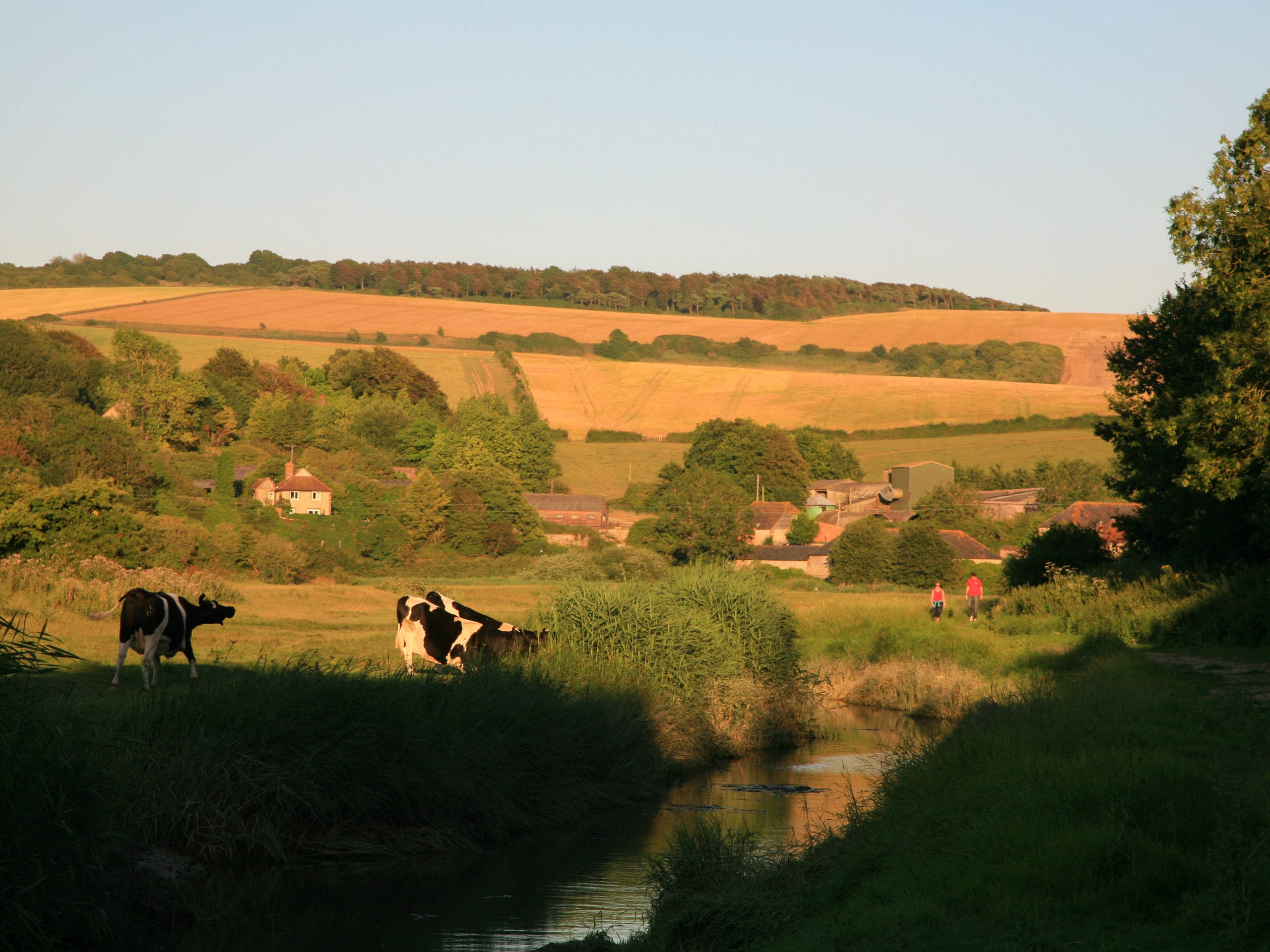 Beautiful countryside seen along the South Downs Way