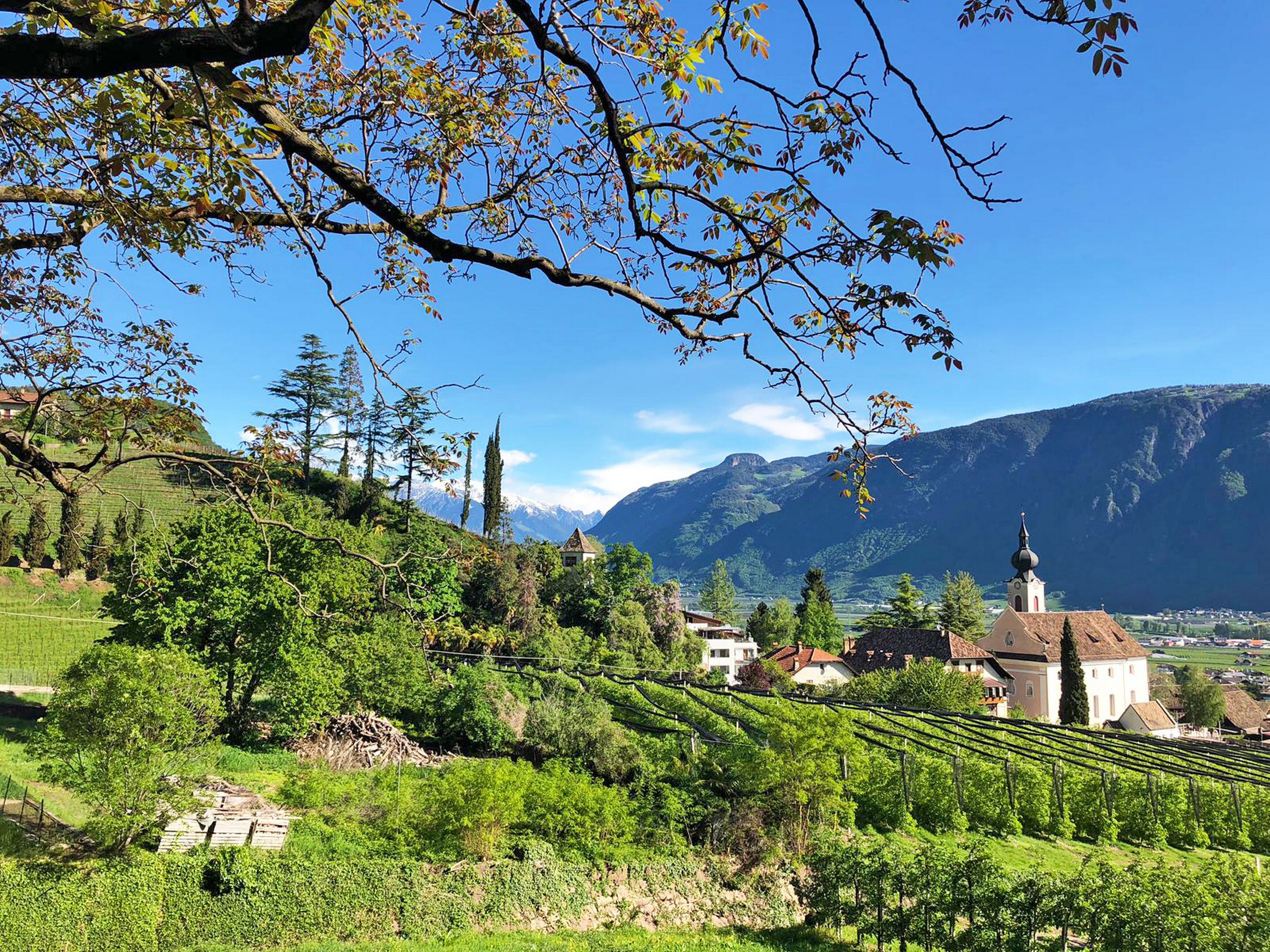 Small town in South Tyrol