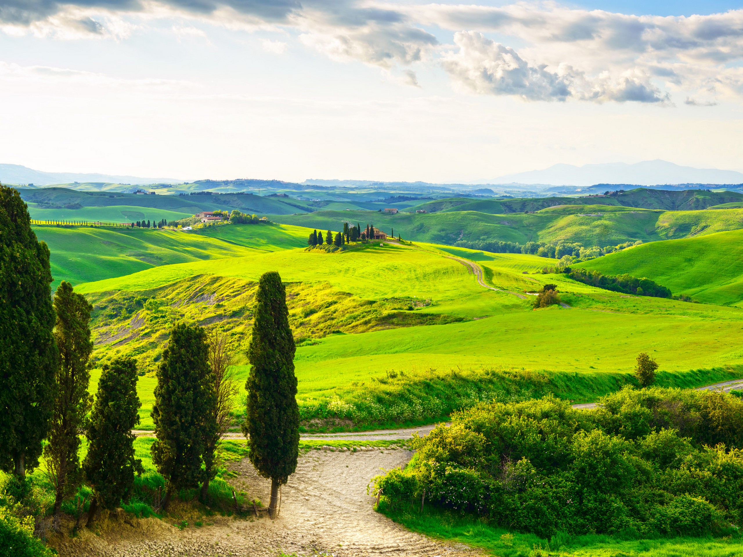 Beautiful Tuscanian countryside