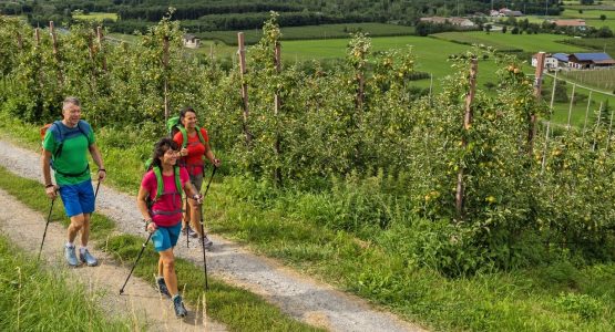 Vinschgau Valley Hiking Tour