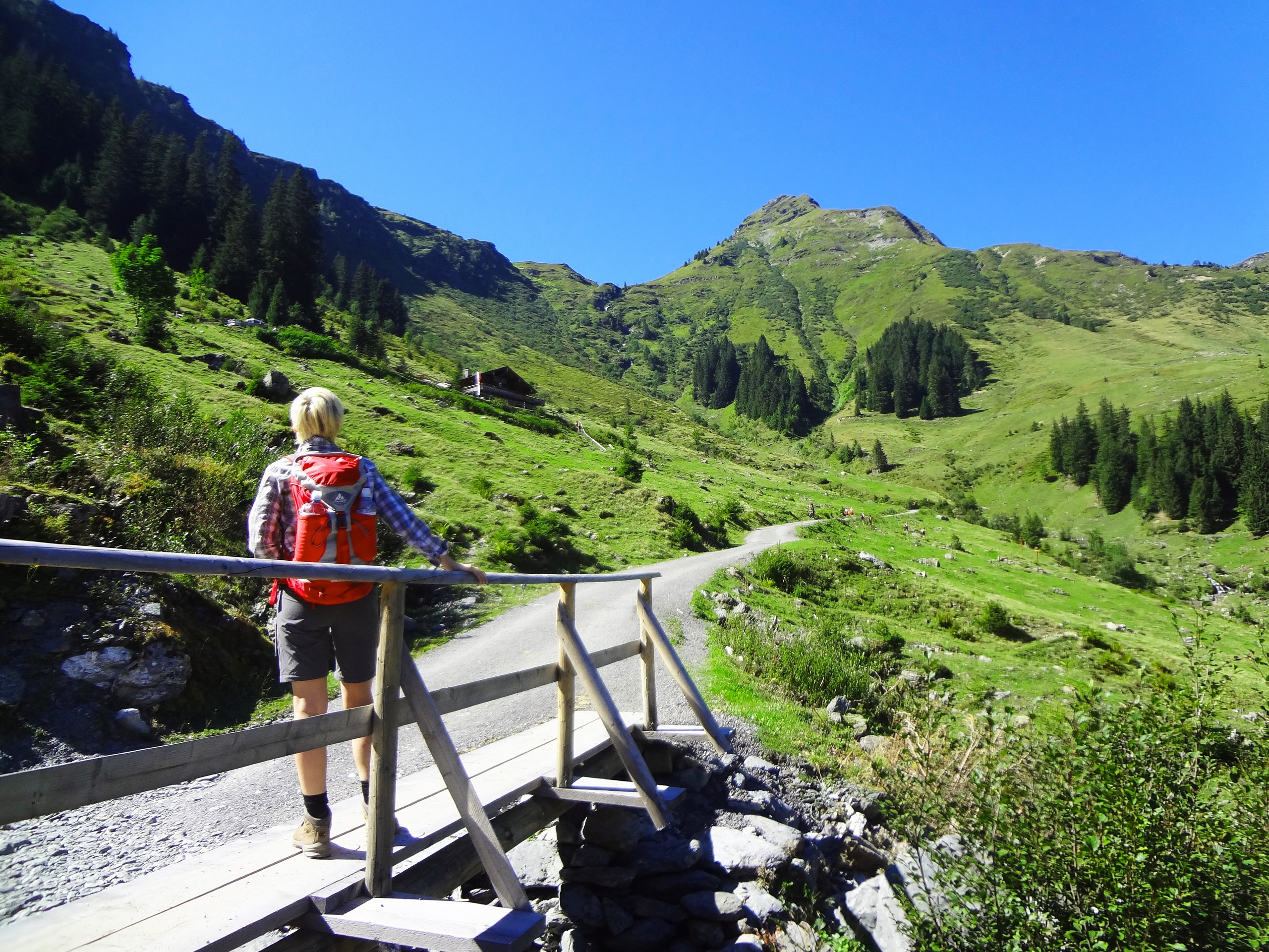 Walker crossing the small bridge in Austria