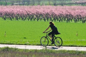 Self-guided Provence Biking Tour