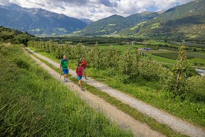 Vinschgau Valley Hiking Tour