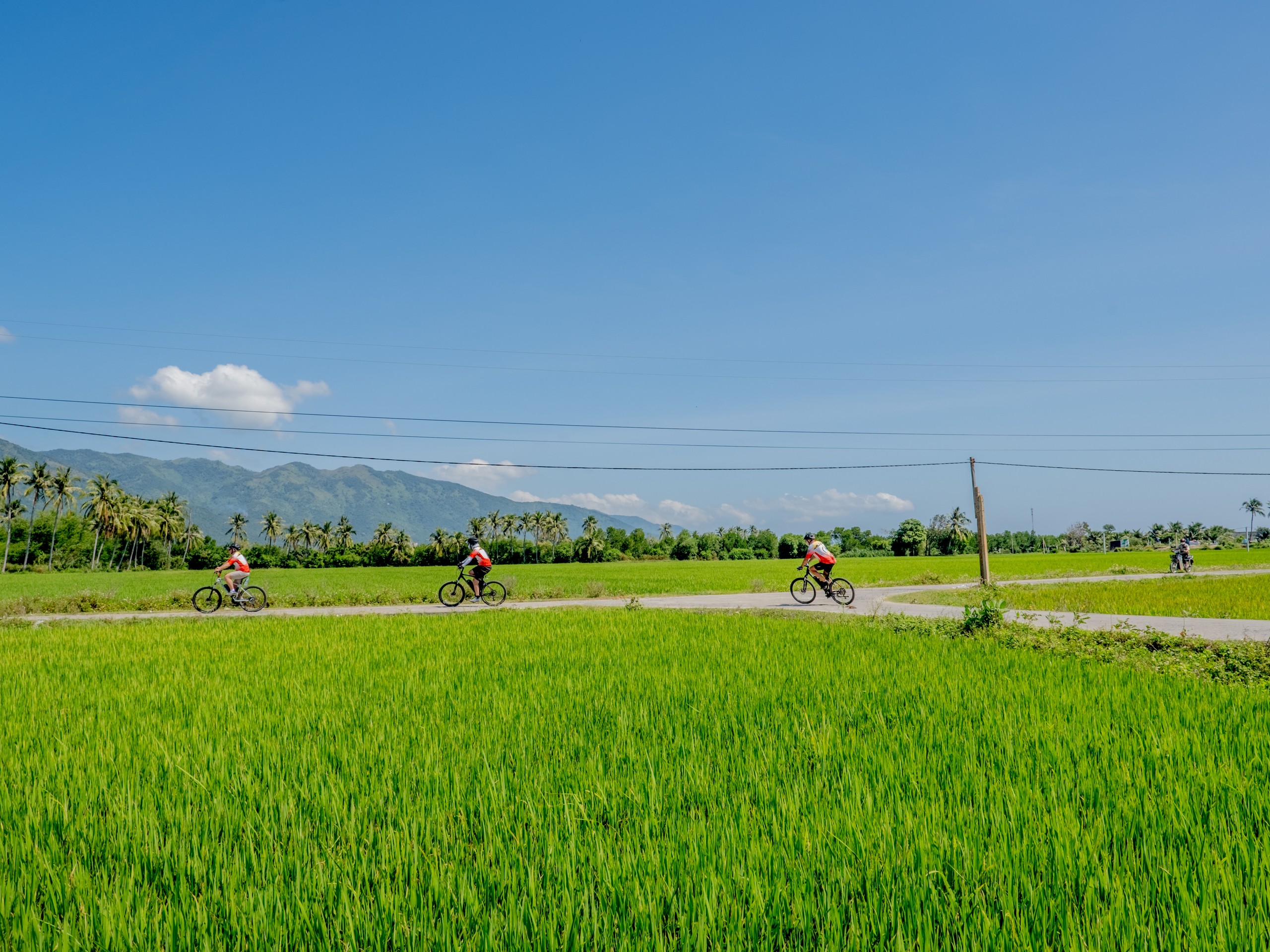 Group of cyclists riding between Ho Chi Minh City and Hanoi