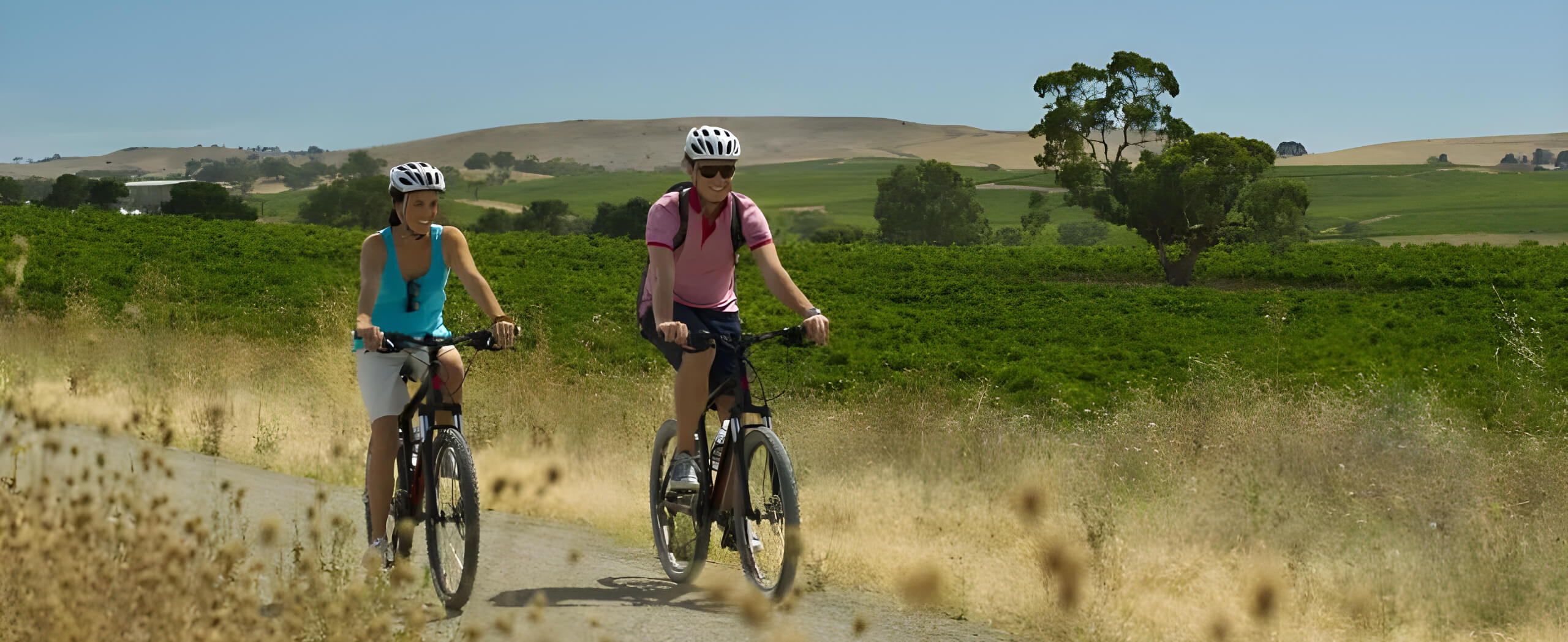 Riesling Rail Trail Cycling Tour