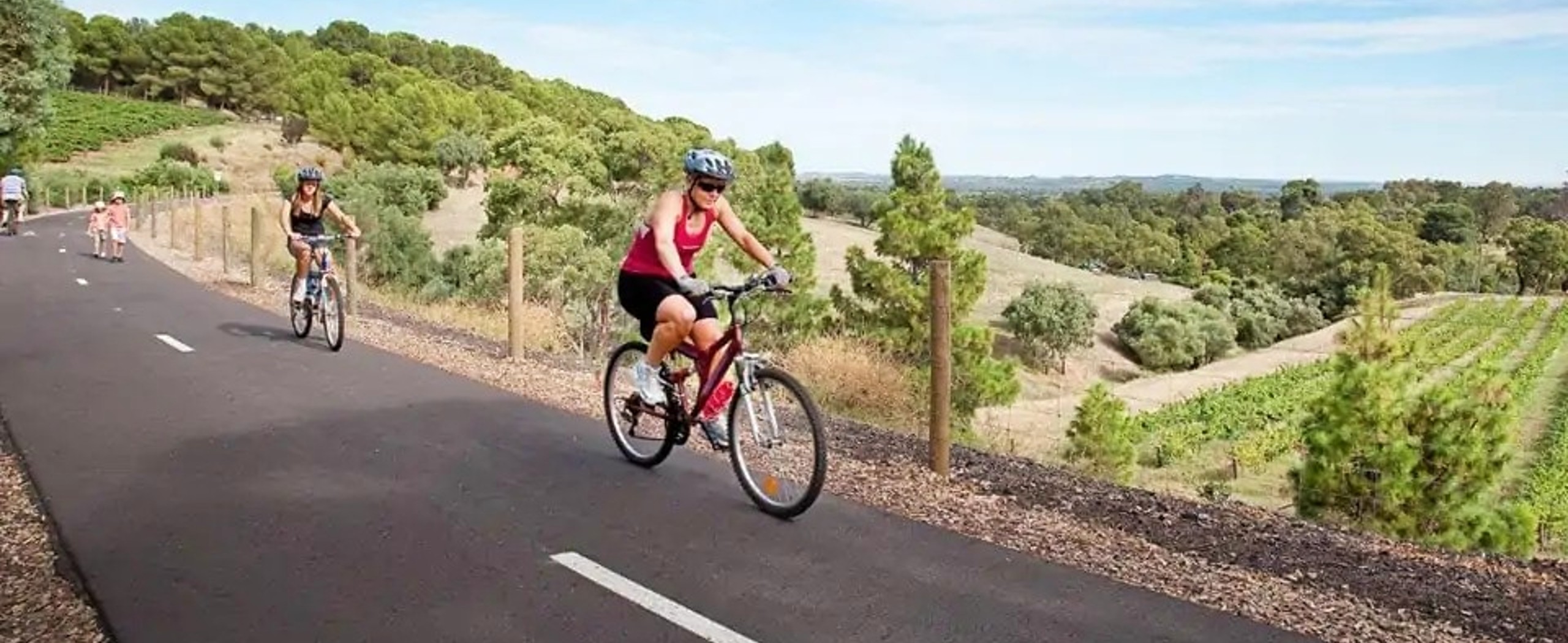 Barossa and Clare Valley Cycling Tour
