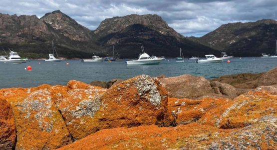 East Coast of Tasmania Cycling Tour