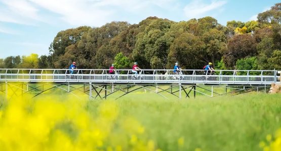 Rail Trails of South Australia Tour