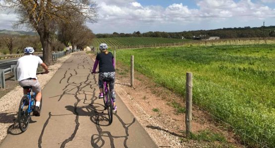 Barossa and Clare Valley Cycling Tour