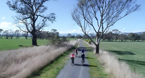 Great Victorian Rail Trail Biking Tour
