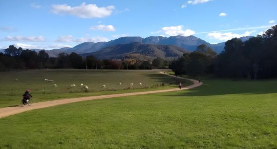 Murray to Mountains Rail Trail Bike Tour