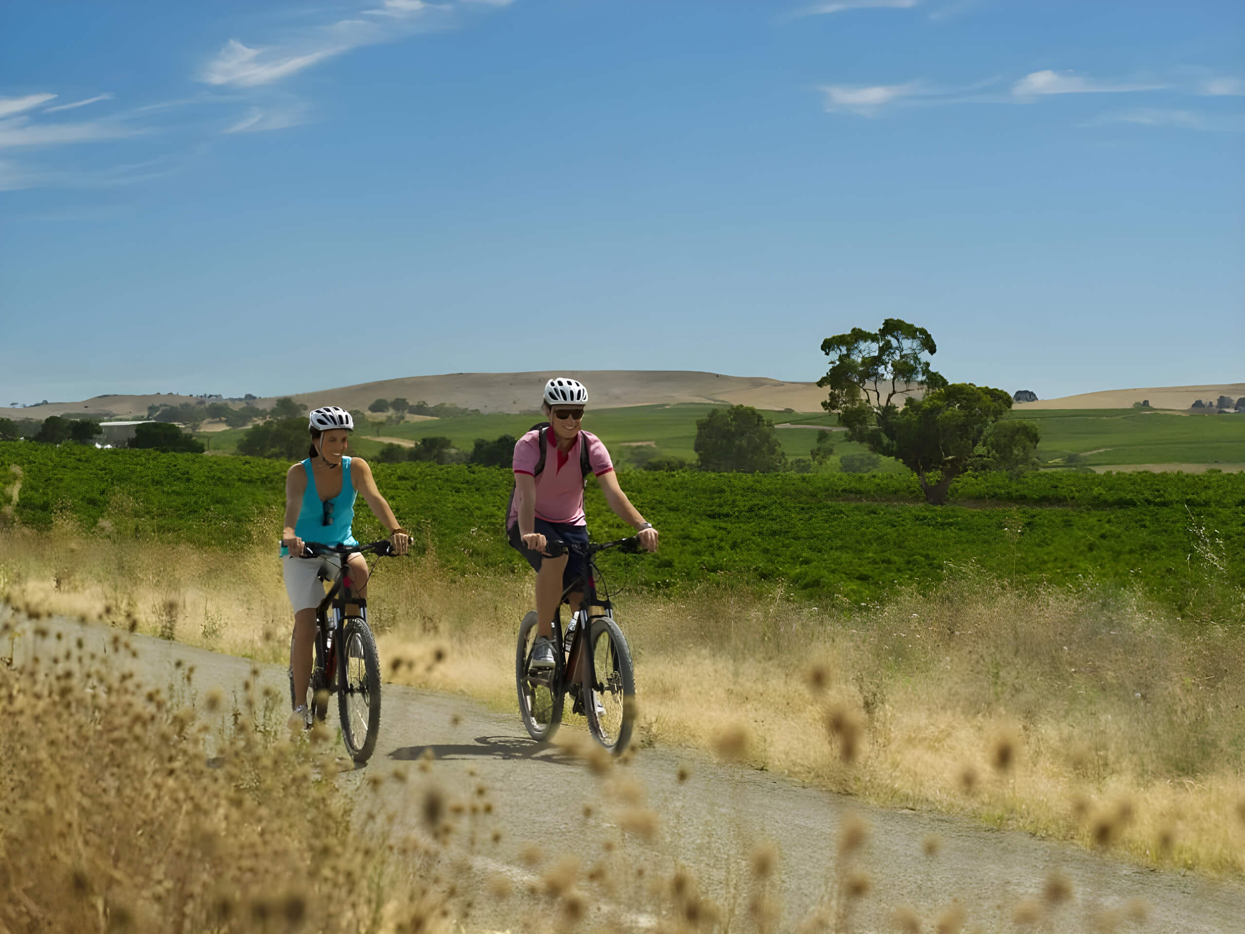 Ride the Riesling Rail Trail-4