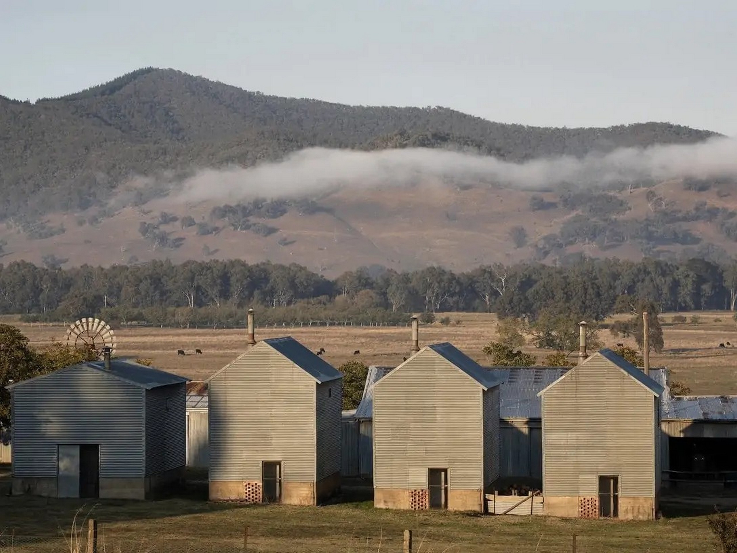 Cycle Beechworth to Bright via Milawa-3