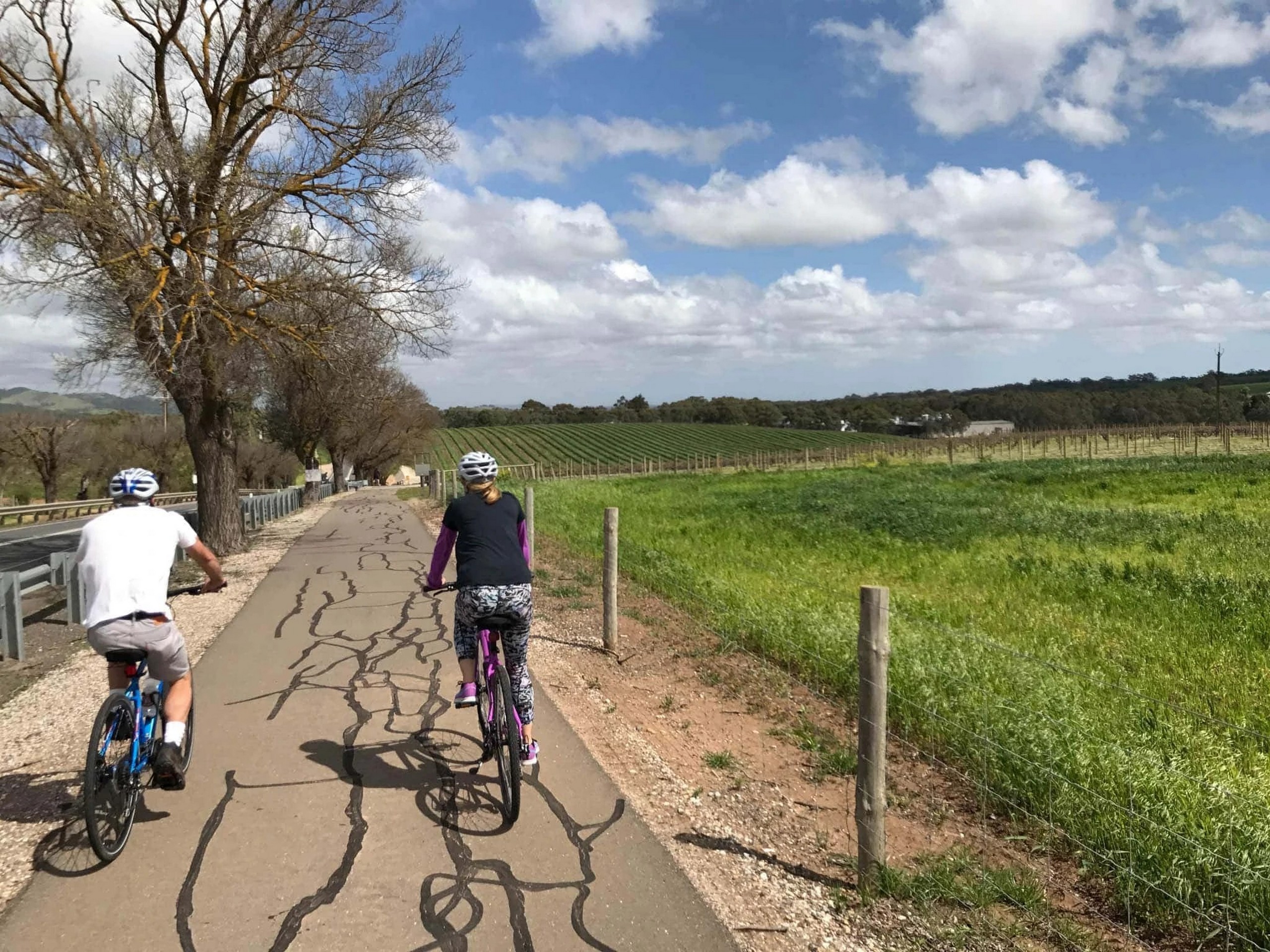 Cycle the Clare & Barossa Trails-1