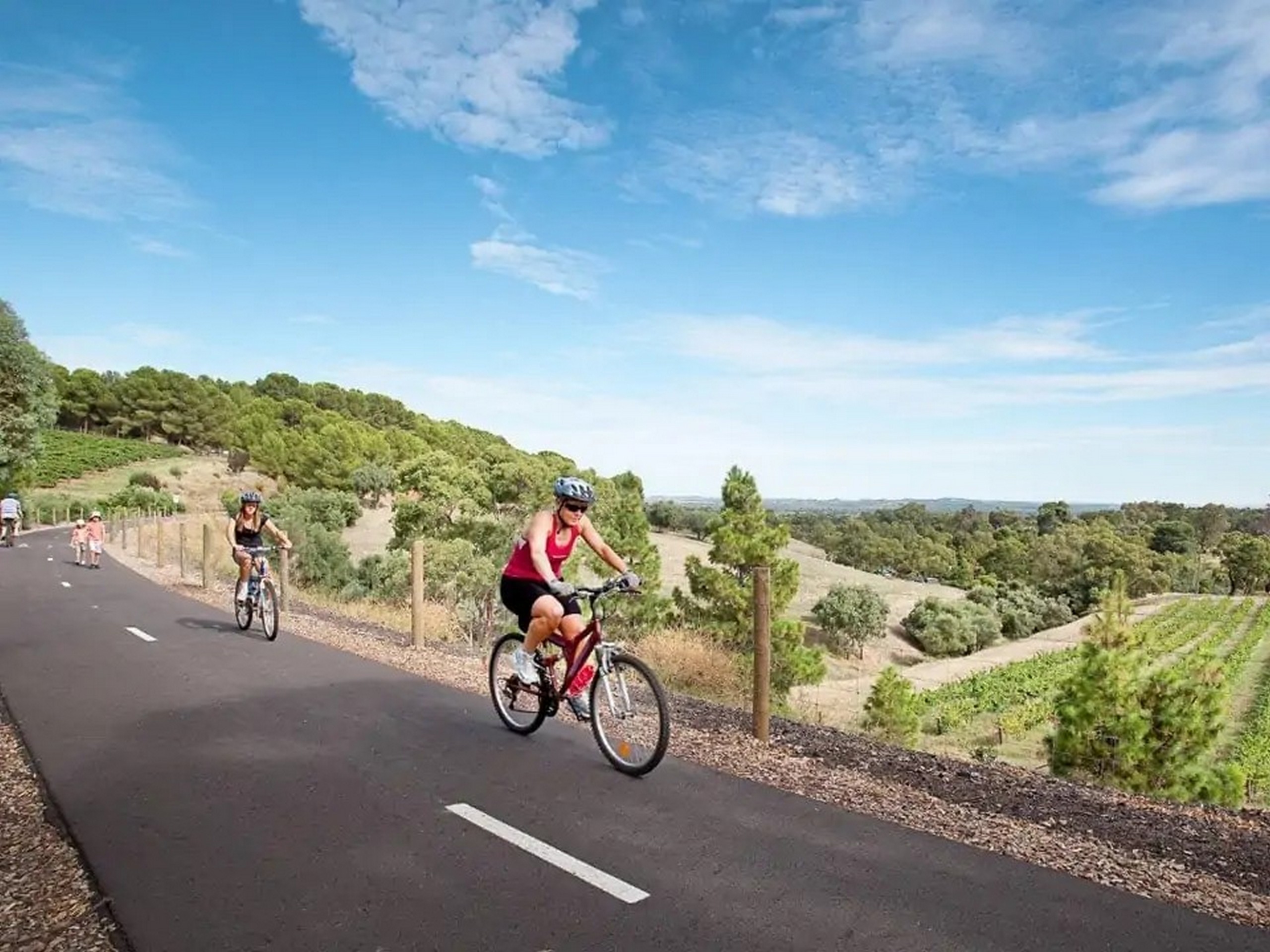 Cycle the Clare & Barossa Trails-5