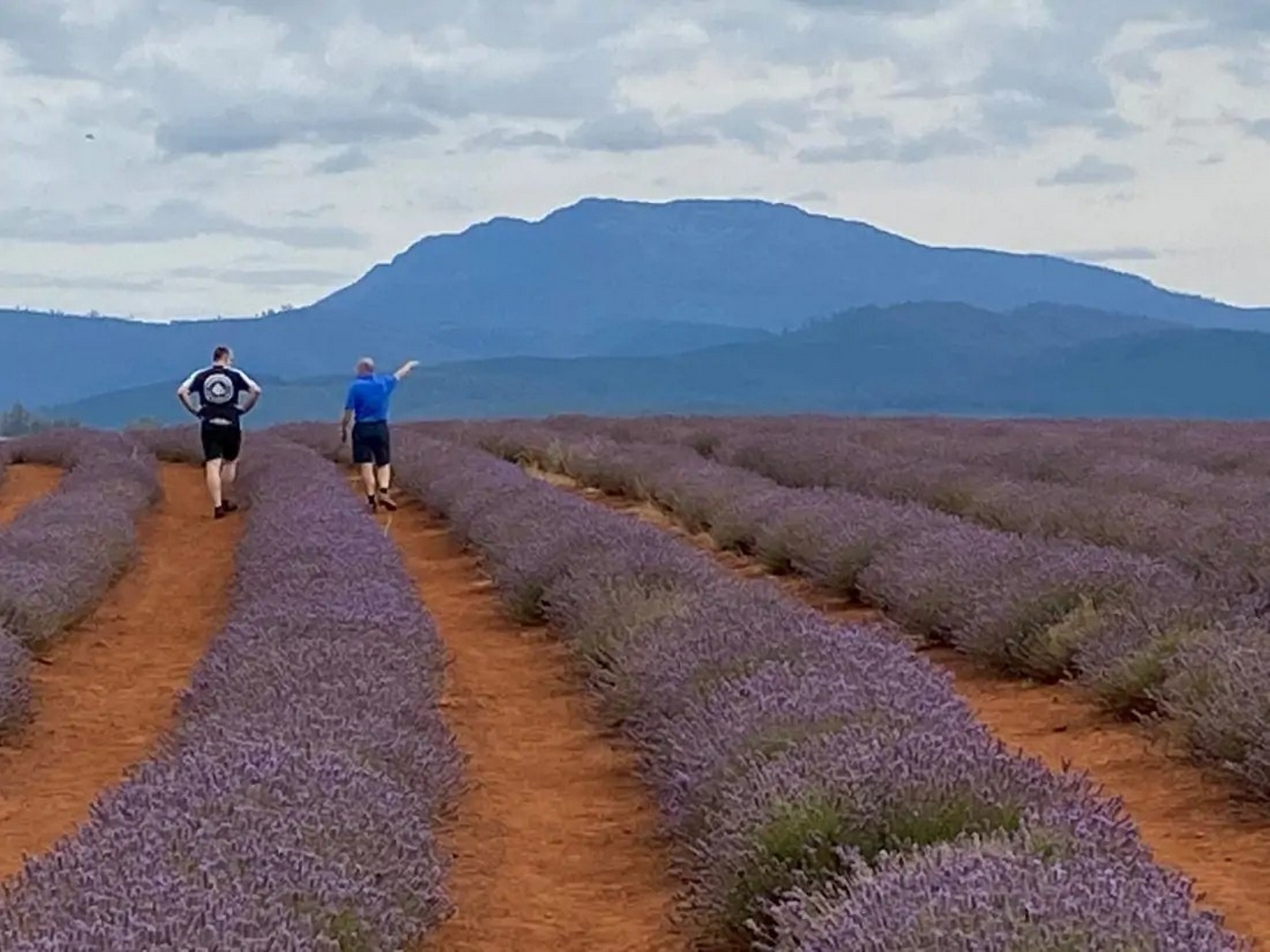 Cycle the East Coast of Tasmania-3