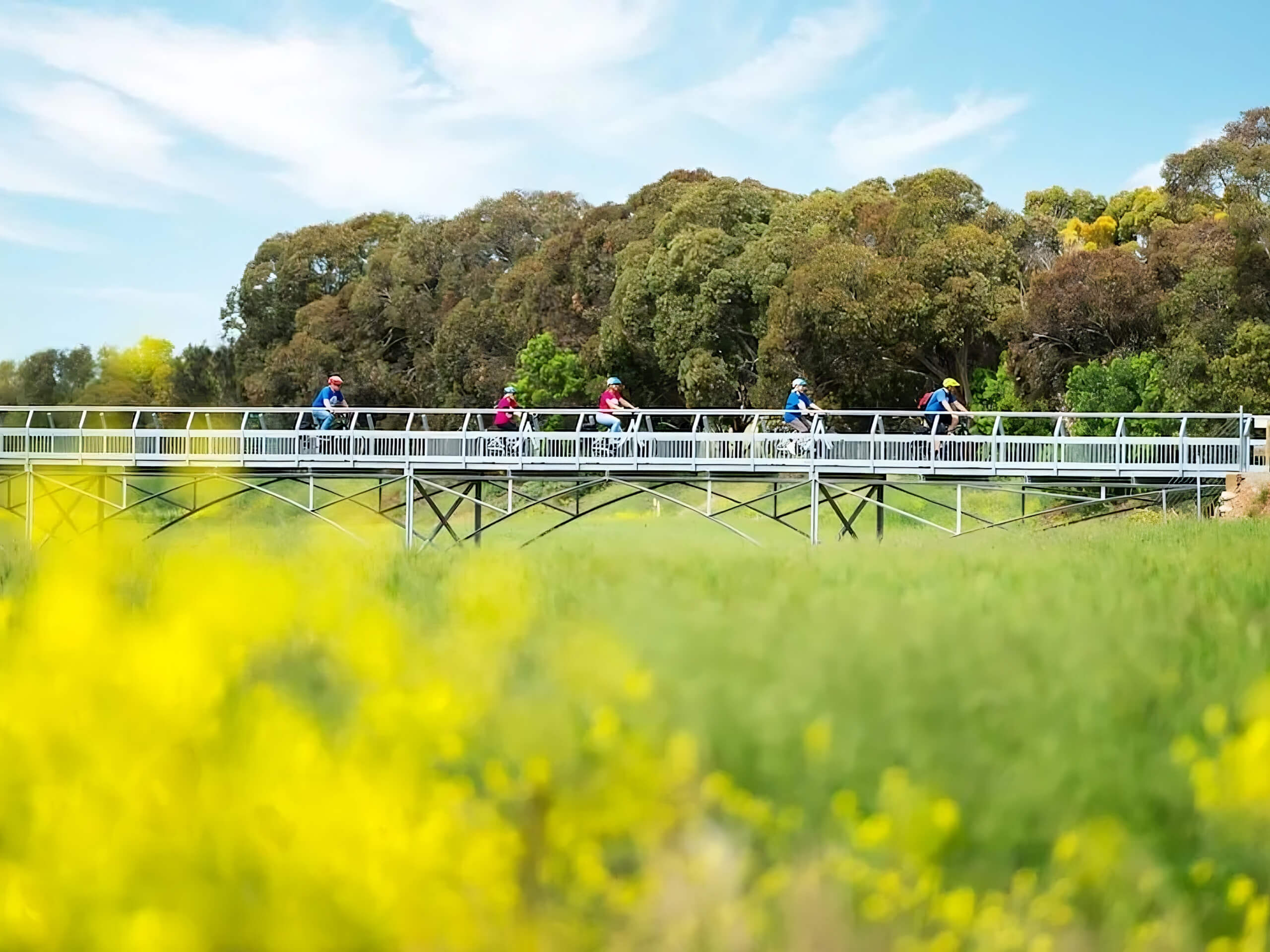 Rail Trails of South Australia Tour