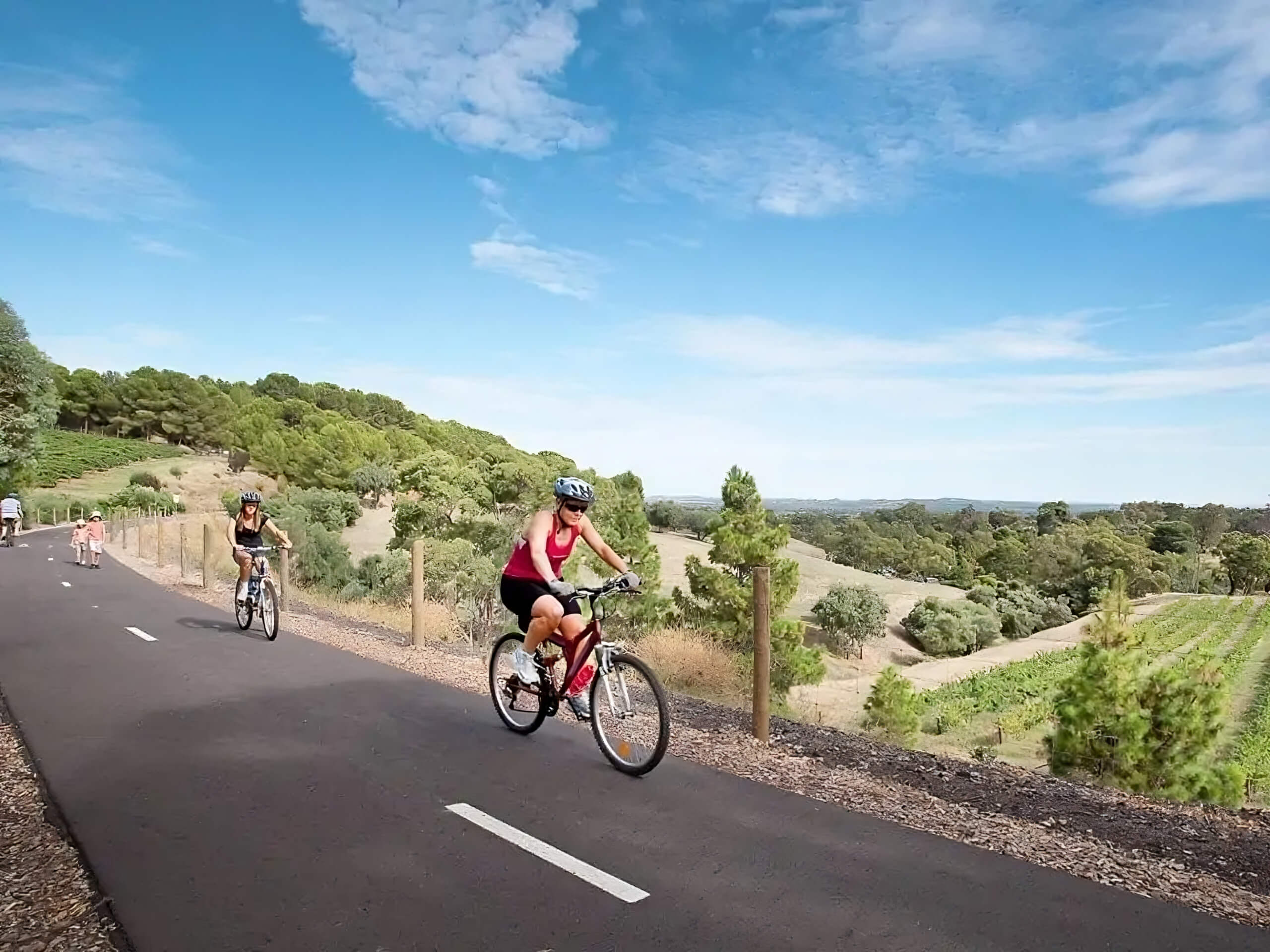 Rail Trails of South Australia Tour