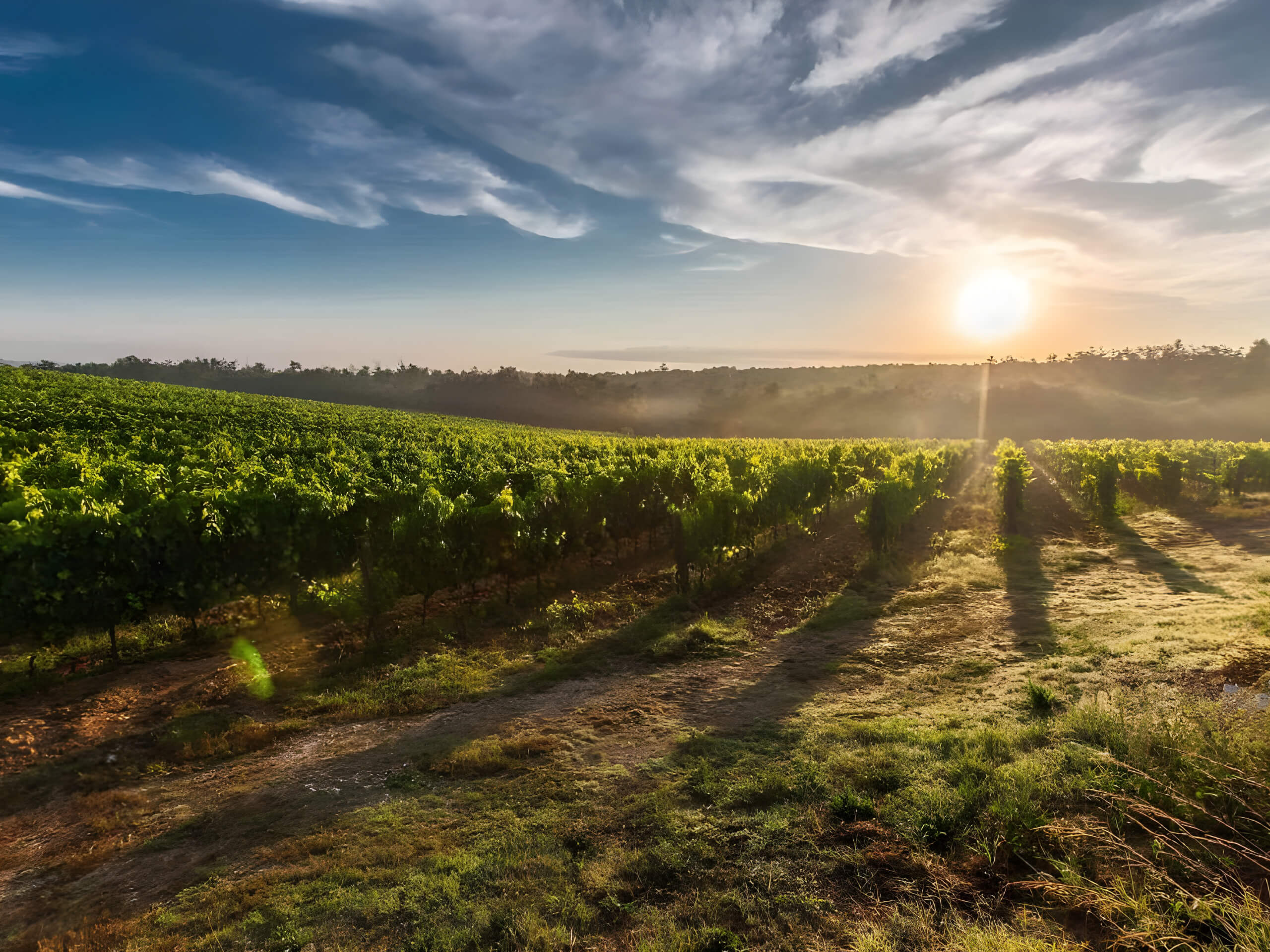 Escape the City to Gorgeous Mudgee-1