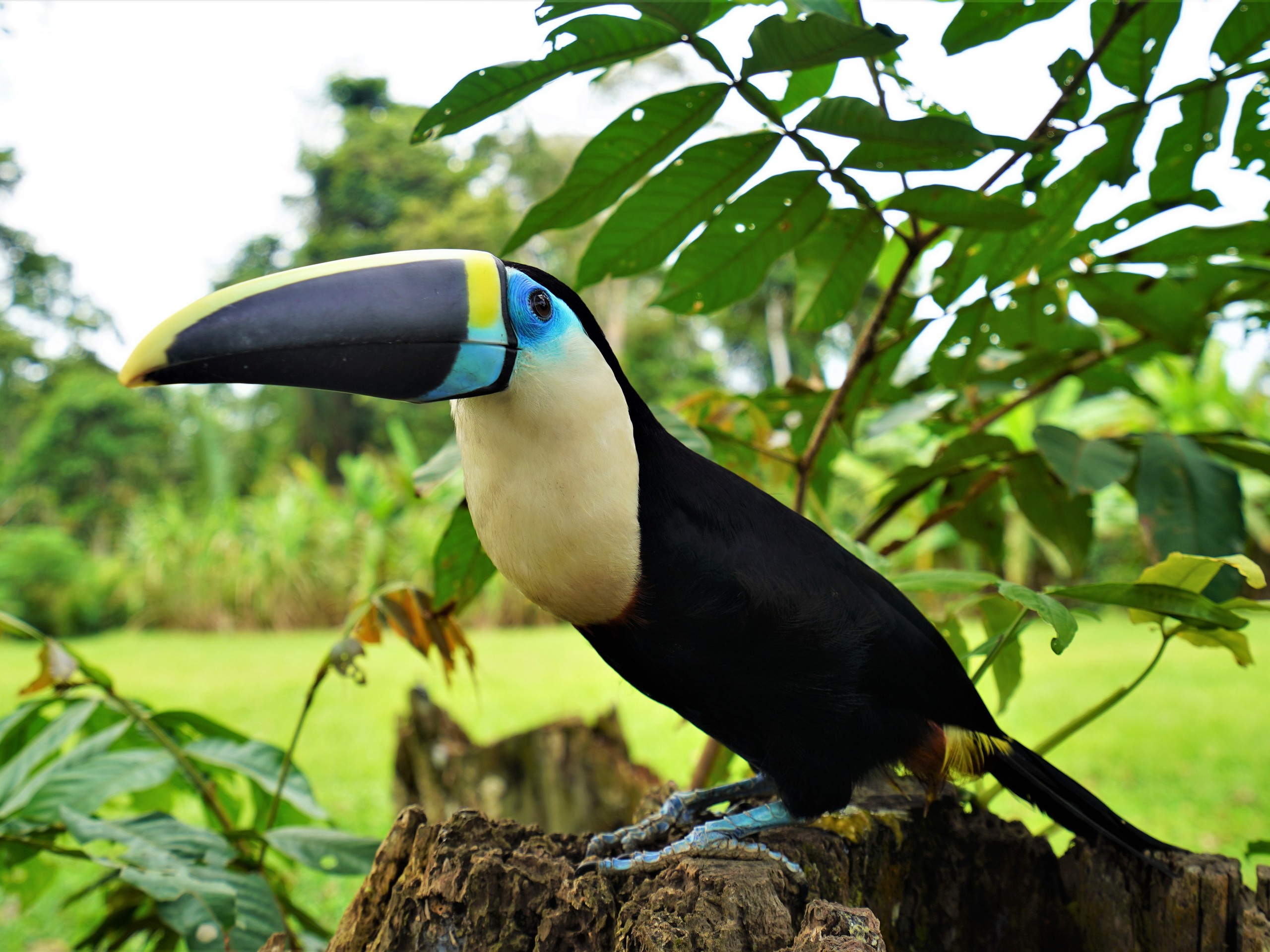 Kayaking in the Heart of Yasuni-12