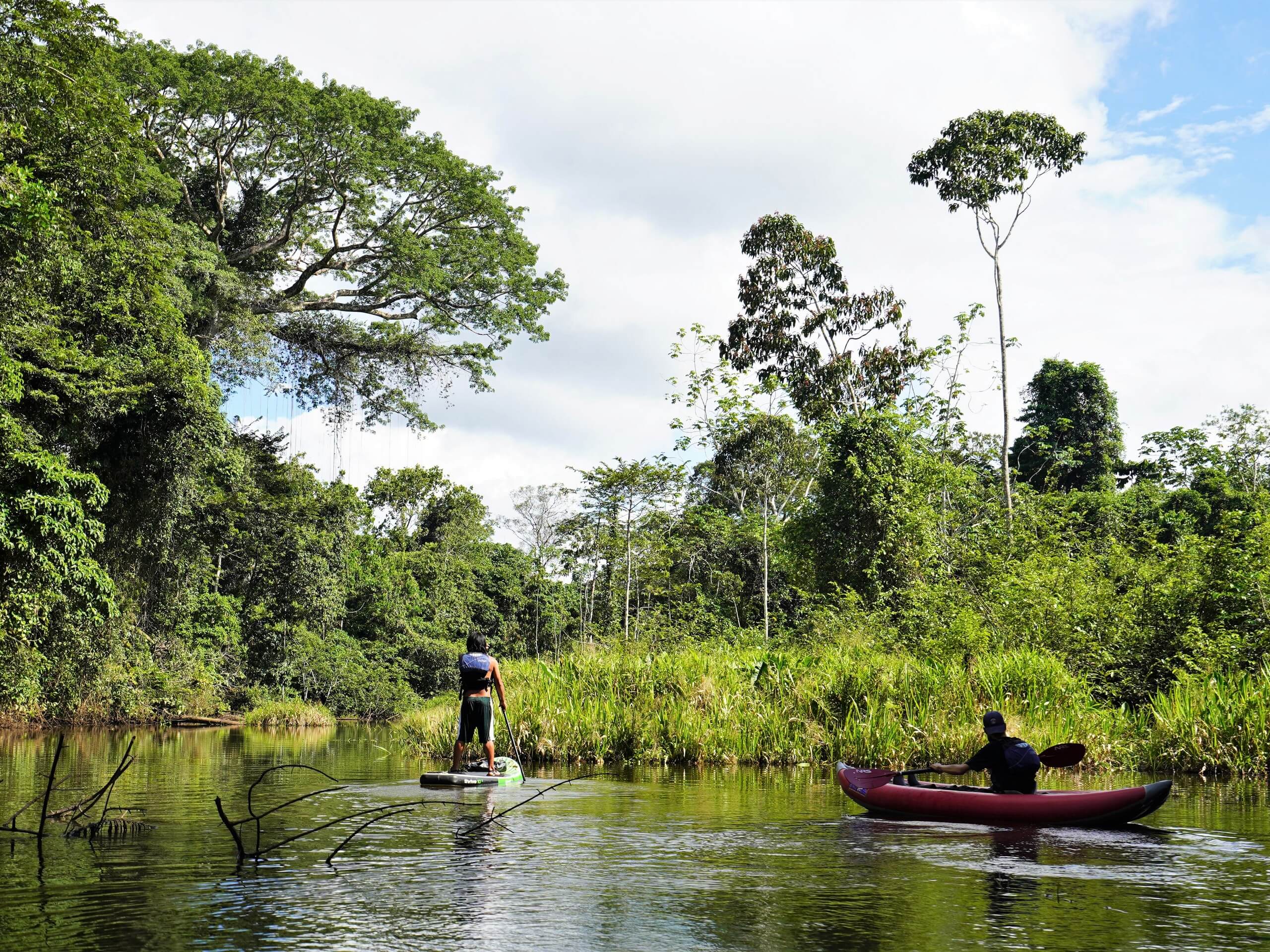 Kayaking in the Heart of Yasuni-14