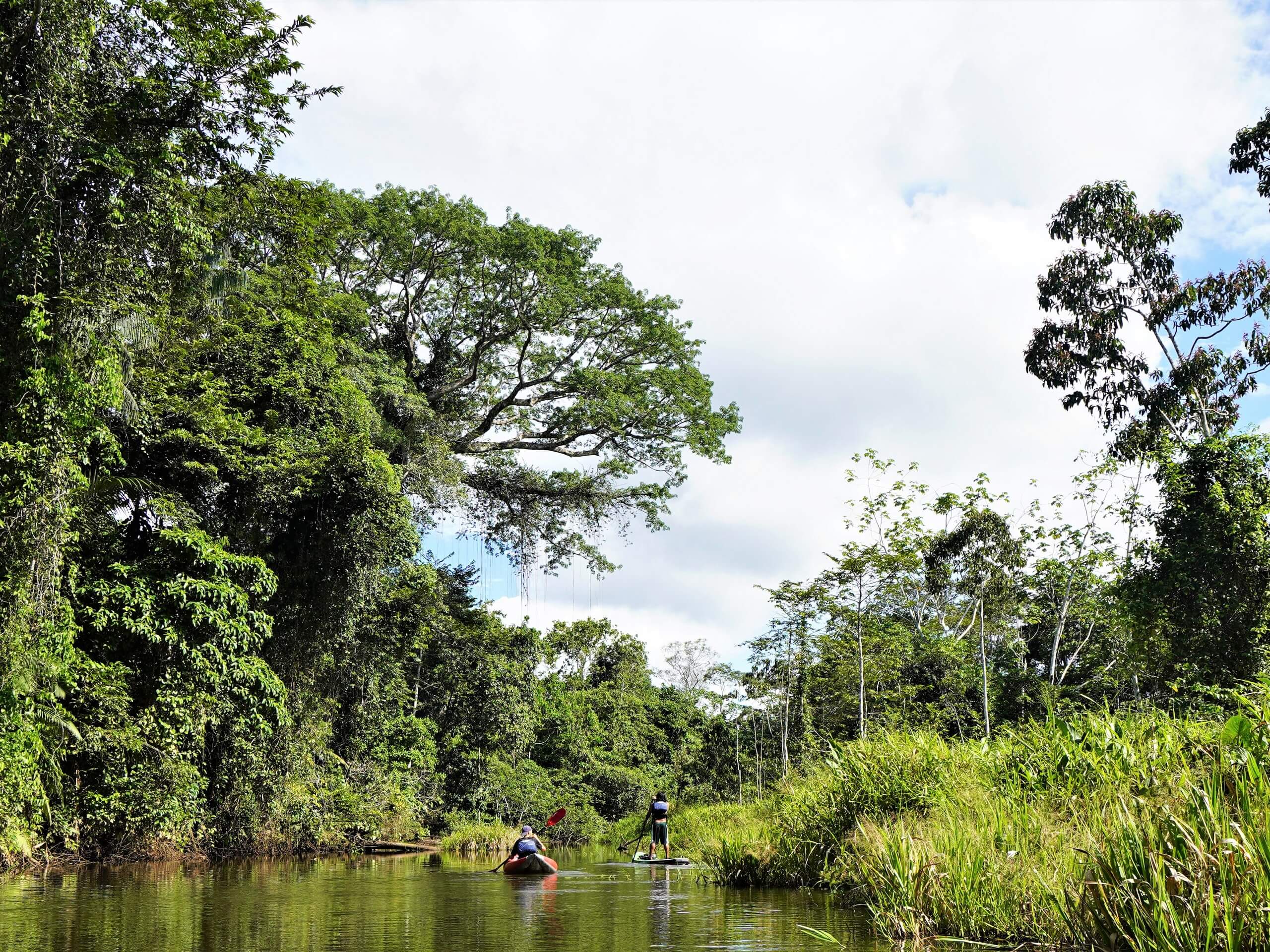 Kayaking in the Heart of Yasuni-15