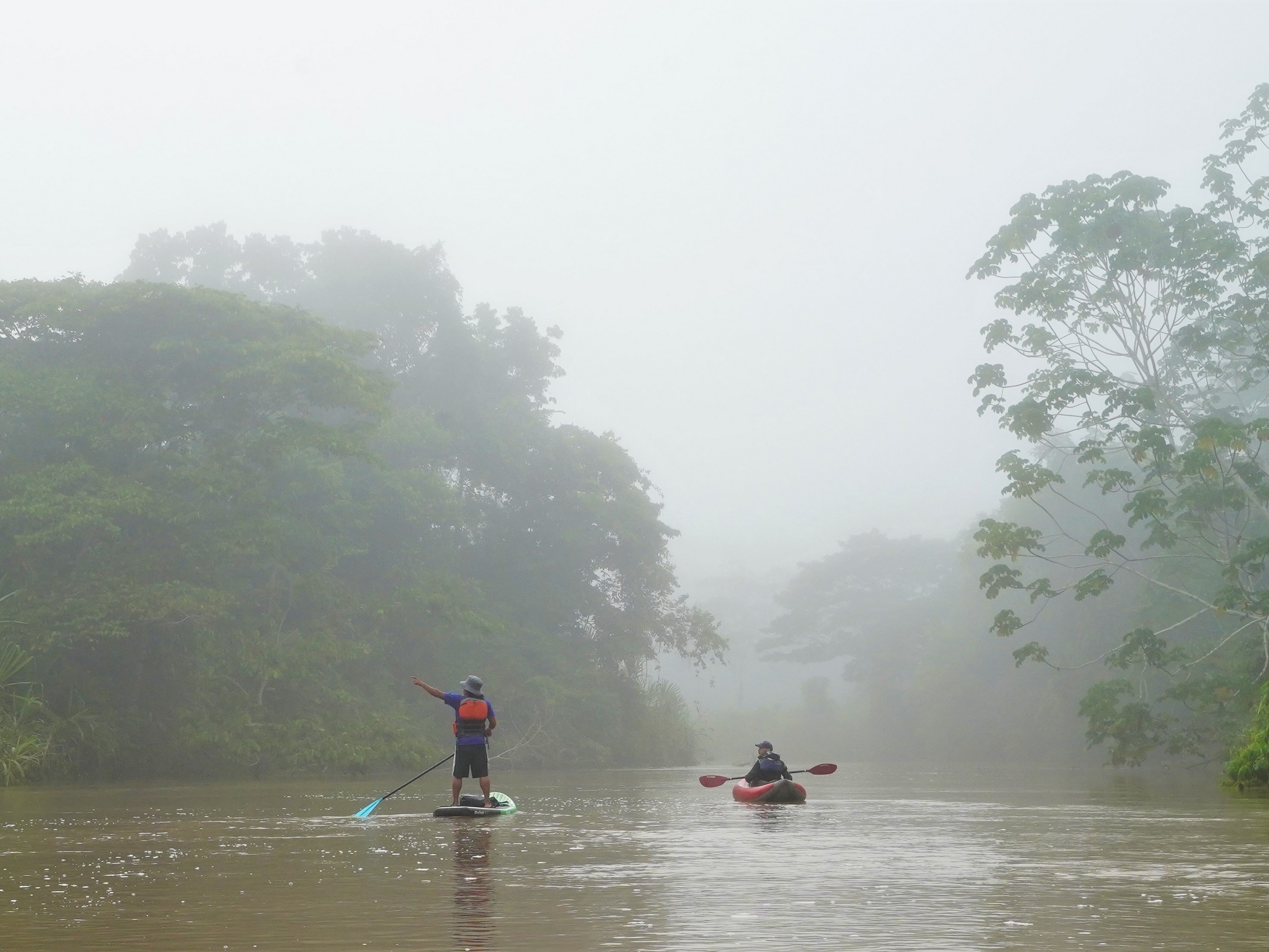 Kayaking in the Heart of Yasuni-17