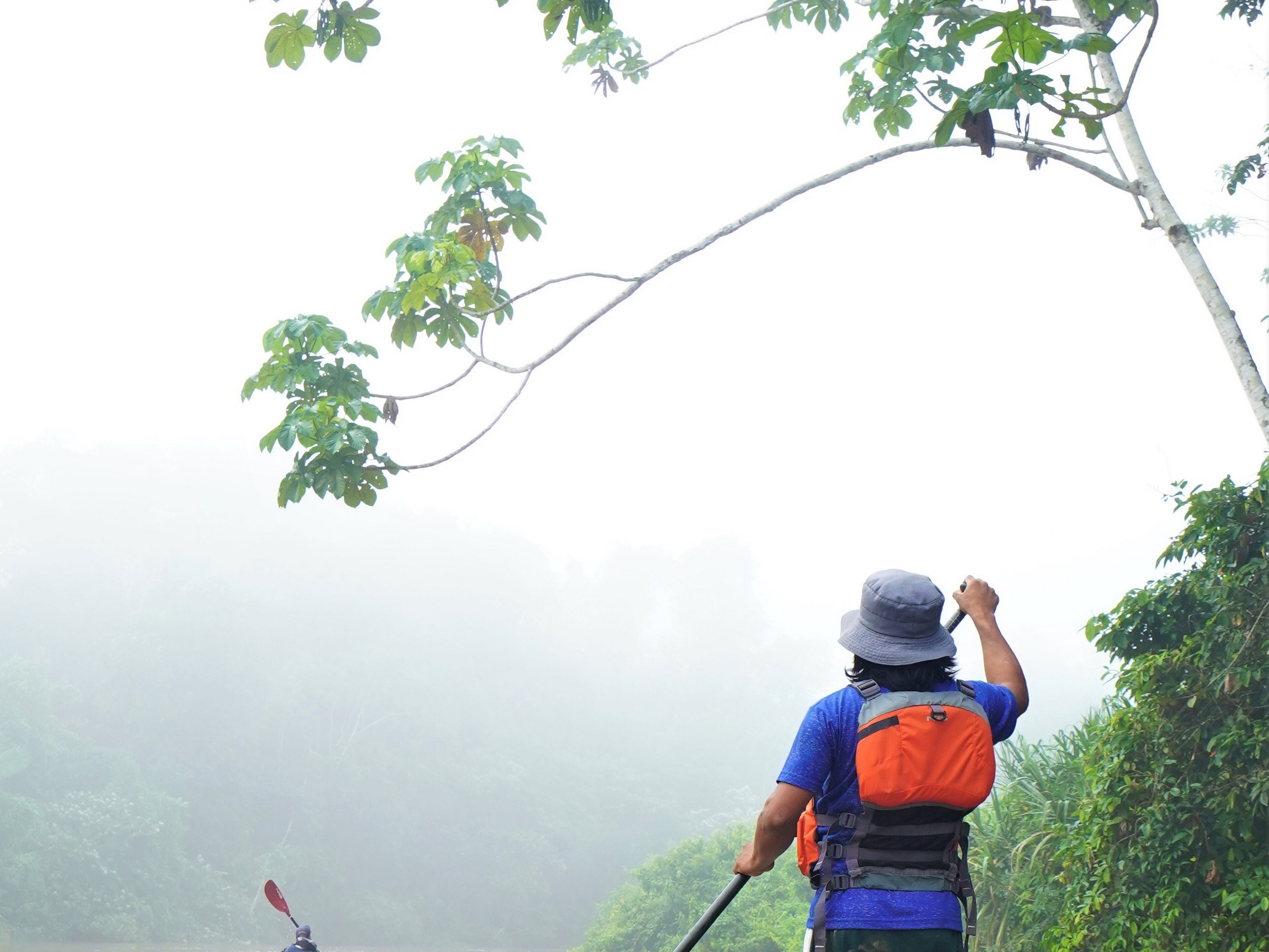 Kayaking in the Heart of Yasuni-19