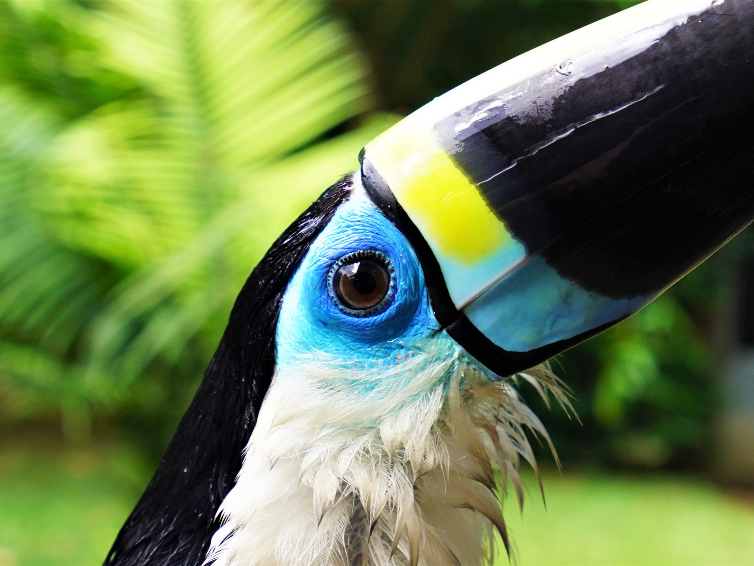 Kayaking in the Heart of Yasuni-20