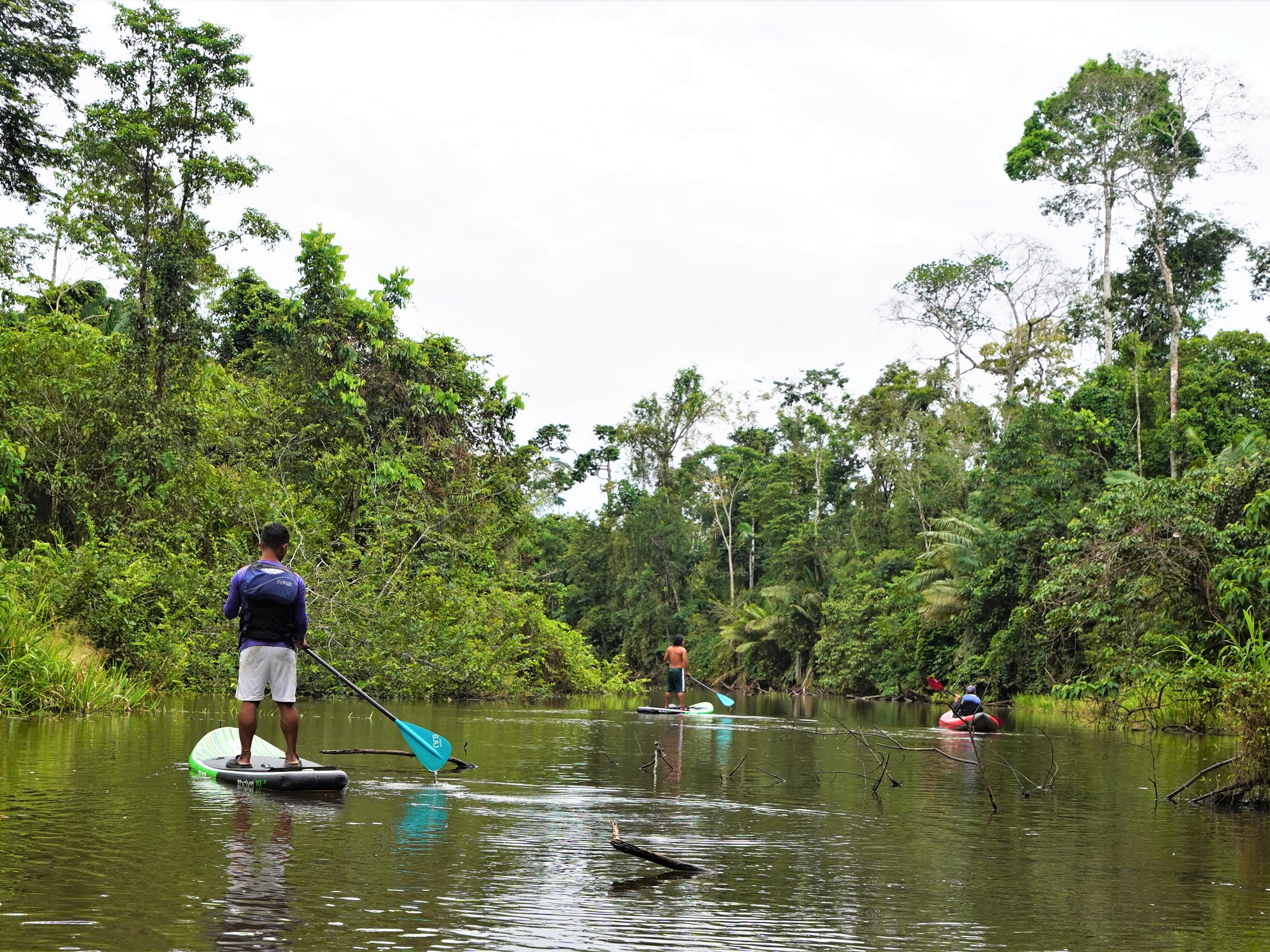 Kayaking in the Heart of Yasuni-3