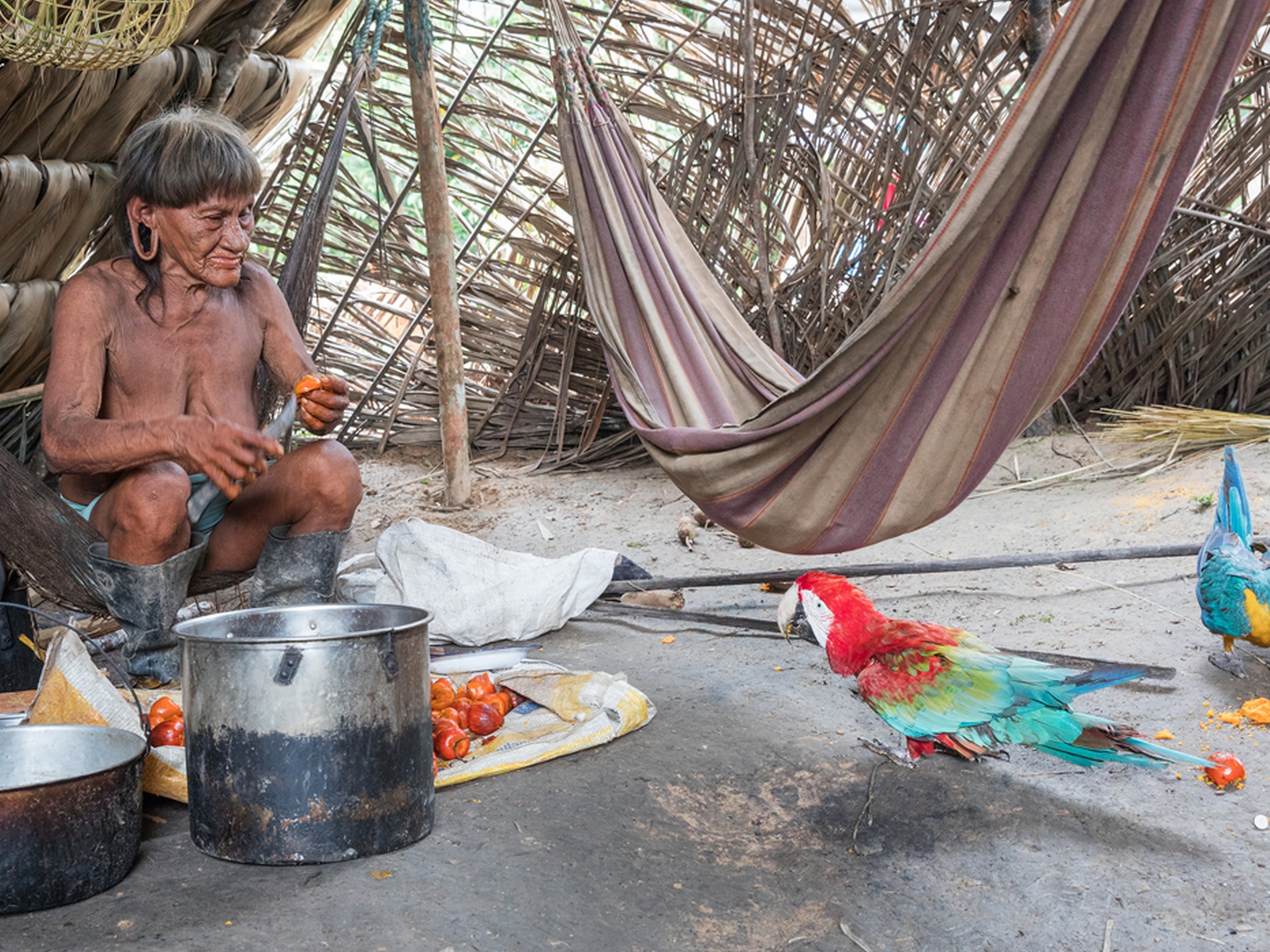 Waorani Expedition in Ecuadors Amazon Rainforest-1