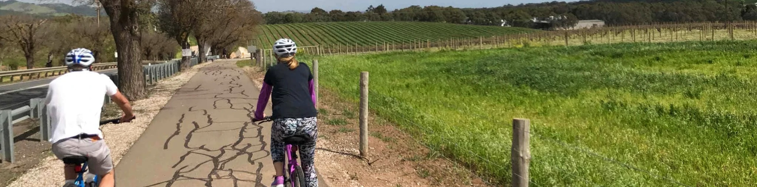 Barossa and Clare Valley Cycling Tour