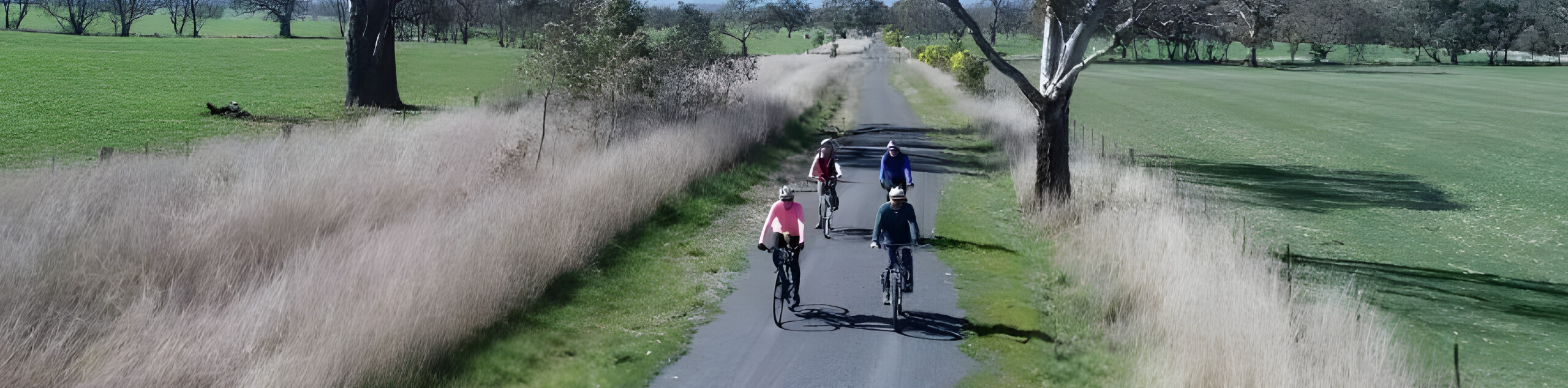 Great Victorian Rail Trail Biking Tour