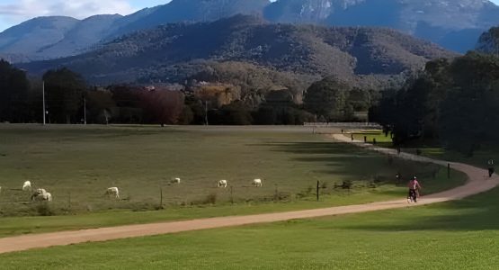 Murray to Mountains Rail Trail Bike Tour