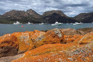 East Coast of Tasmania Cycling Tour